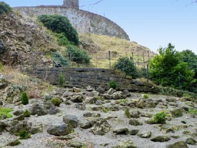 Queen Elizabeth Field View