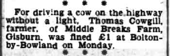 1944-08-12-Cow-lights